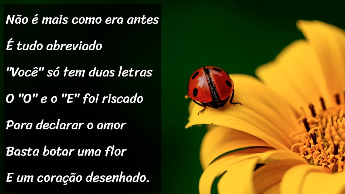Projeto Cordel